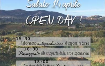 Open Day di Pantasema